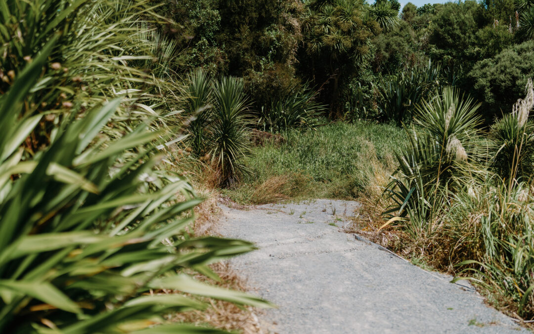 Clevedon Scenic Reserve Path – Te Nikau Pā
