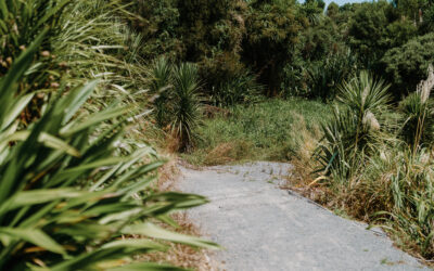 Clevedon Scenic Reserve Path – Te Nikau Pā